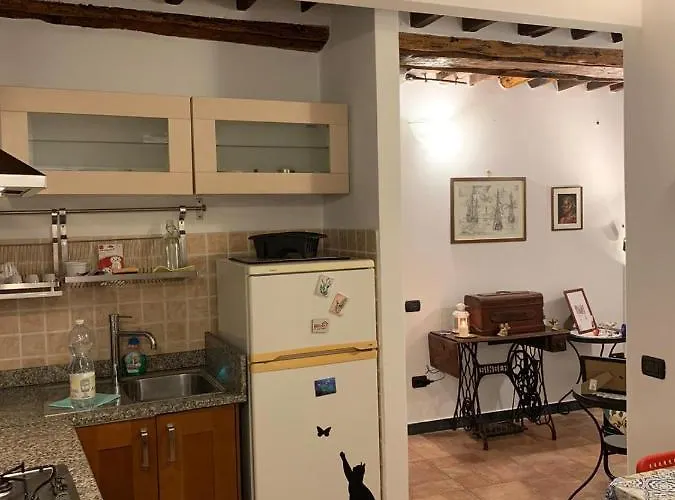 Le Parole Del Gatto