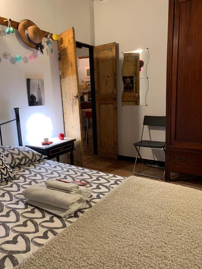 Le Parole Del Gatto *